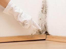 Best Air Quality Testing for Mold Spores  in Medford, WI